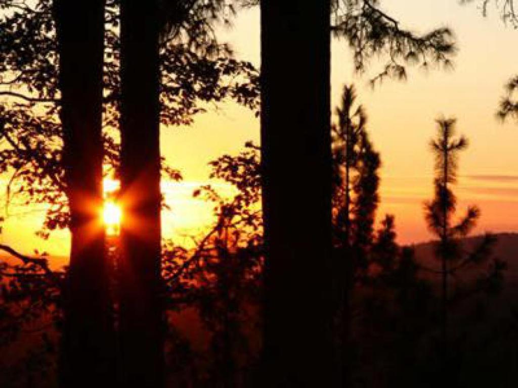 Sierra Sun Cloud Inn - Colfax (Adults Only) Εξωτερικό φωτογραφία